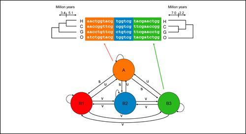 Computational stochastics